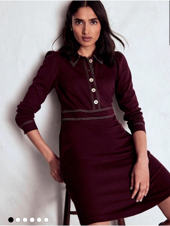 Boden Dresses & Skirts - Boden Plum Long-Sleeve Polo Dress size 10